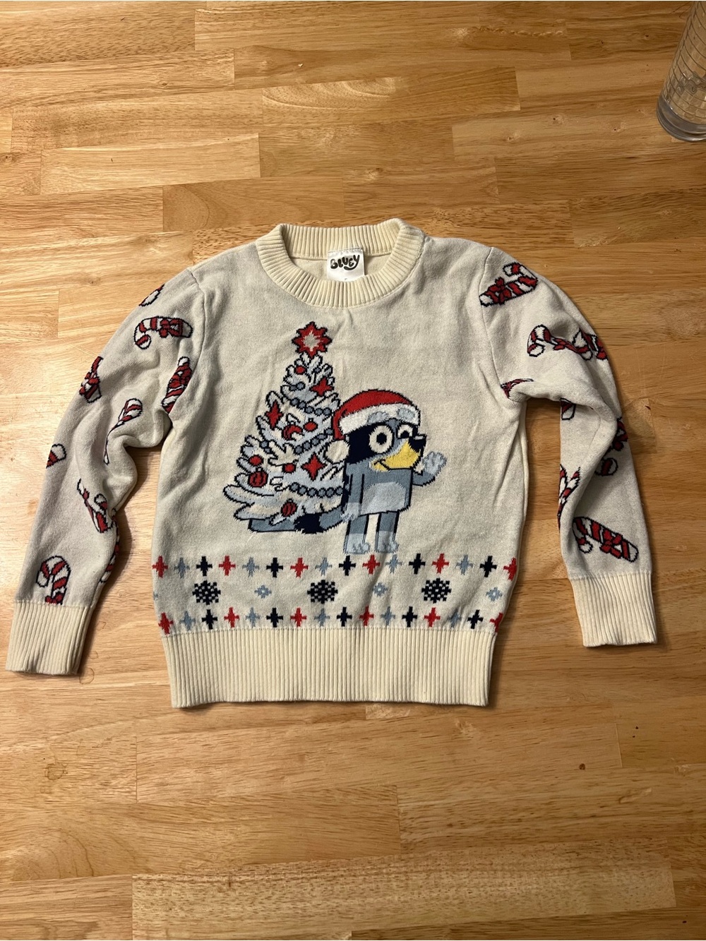 Bluey Christmas sweater